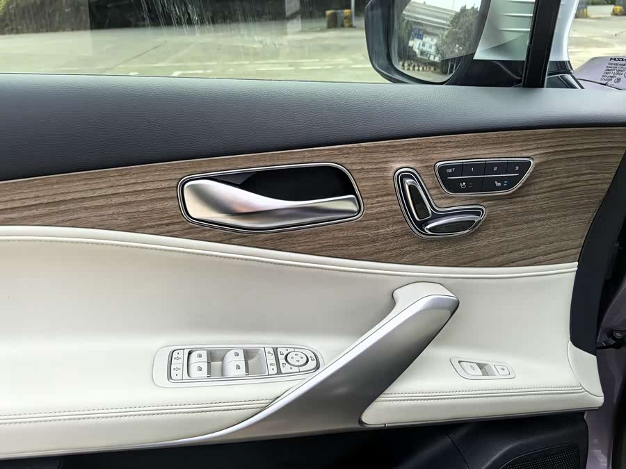 Denza X 2020 car image #22