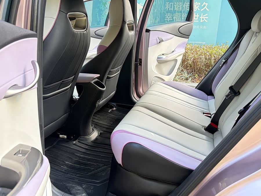 比亚迪 海豚 2022 汽车图片 #22