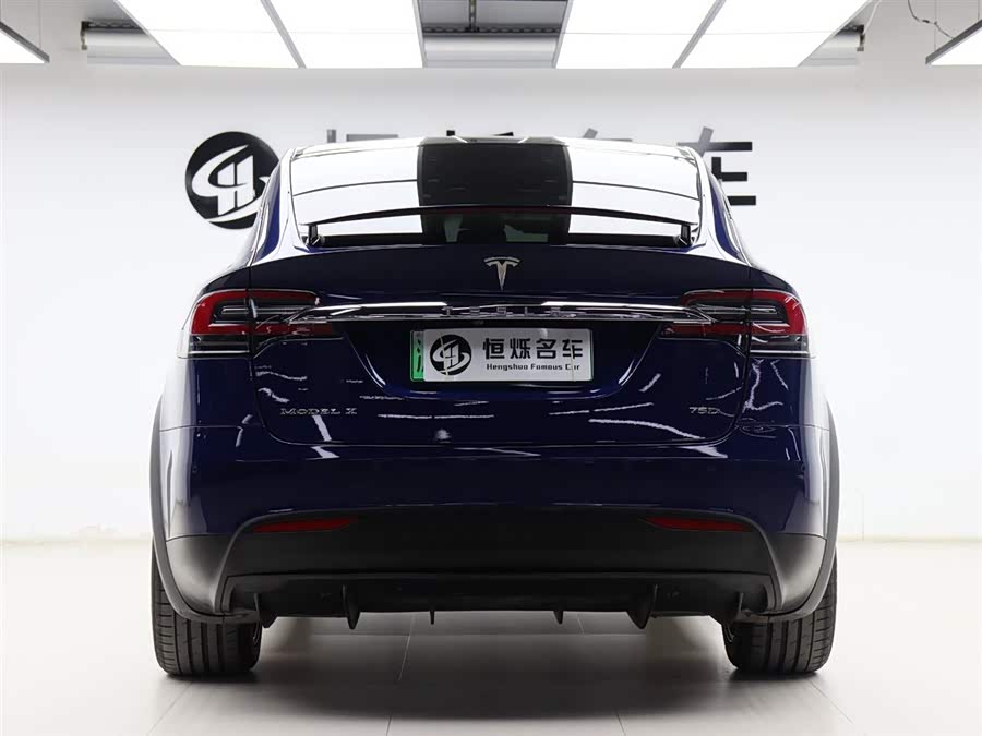 Tesla Model X 2017 car image #22