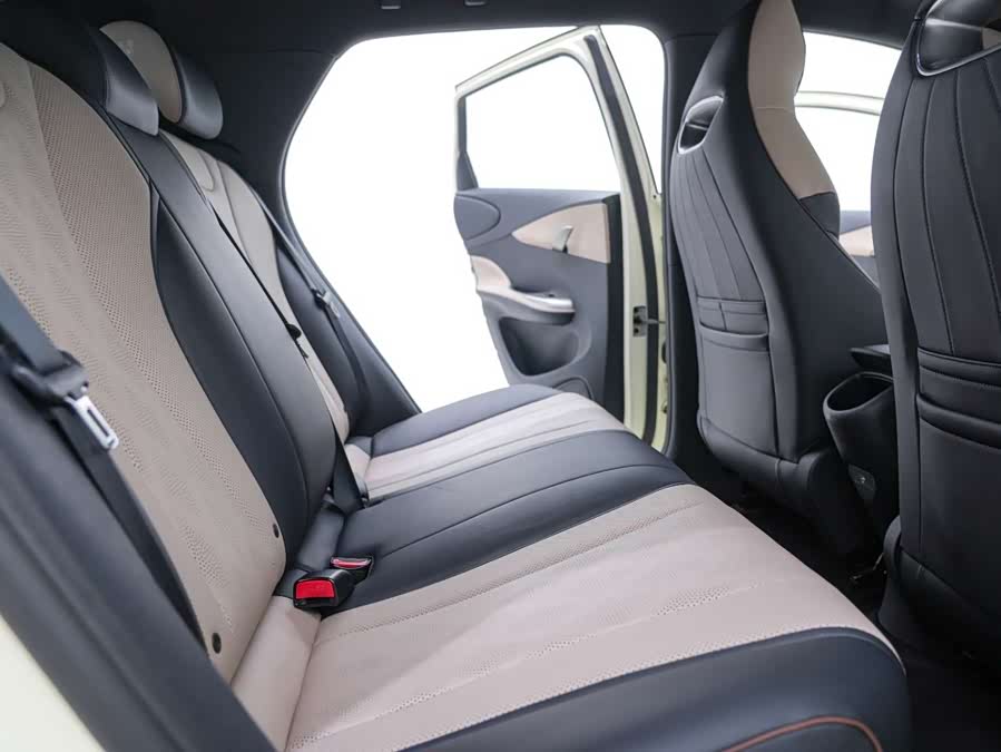 BYD Dolphin 2022 #22 BYD Dolphin 2022 immagine di auto #22