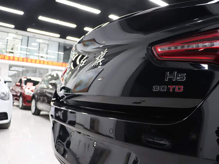 铃木 红旗H5 2021 汽车图片 #22