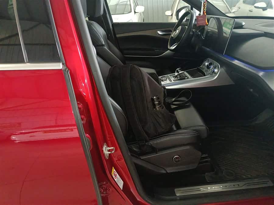 Denza X 2020 car image #22