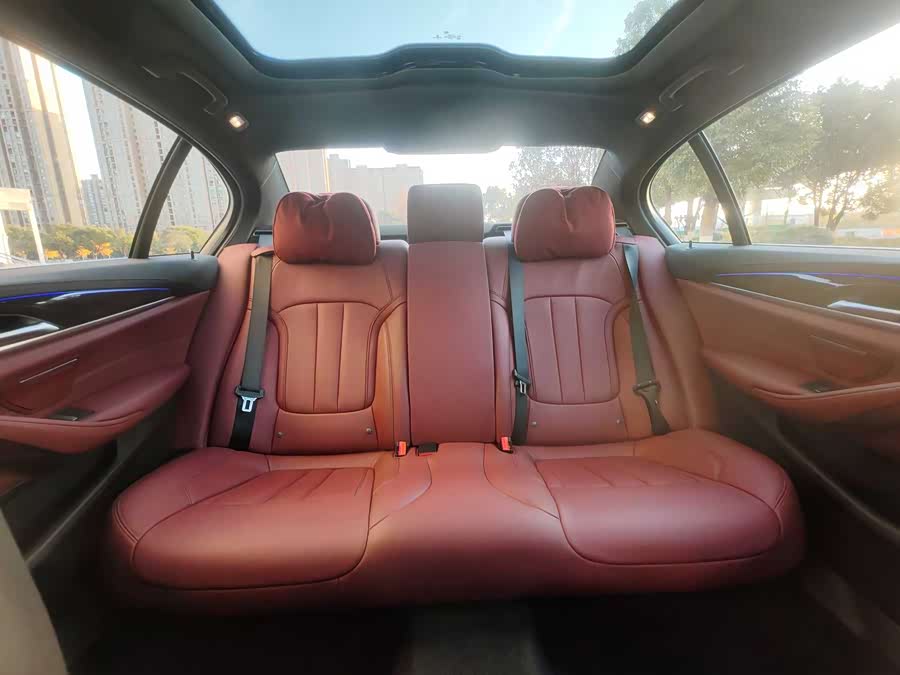 BMW 5 Series 2020 car image #22
