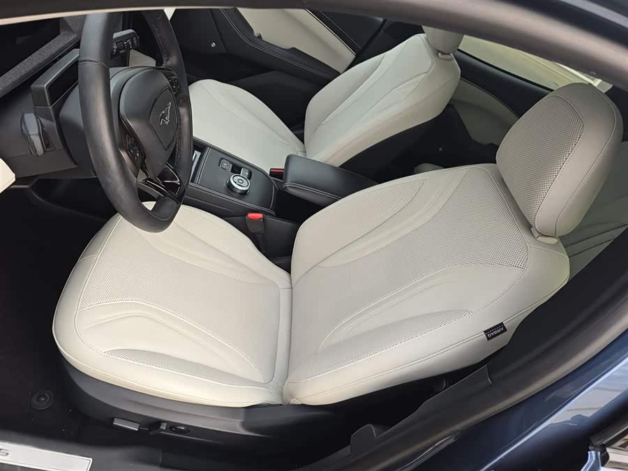 Ford Mustang Mach-E 2022 #22 Ford Mustang Mach-E 2022 car image #22