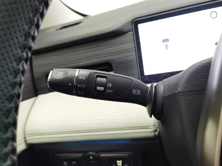 捷途山海 捷途山海L9 2024 汽车图片 #22