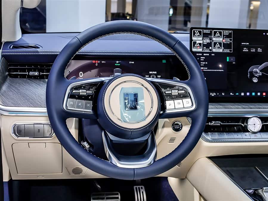 Tank 500 New Energy 2025 #22 Tank 500 New Energy 2025 car image #22