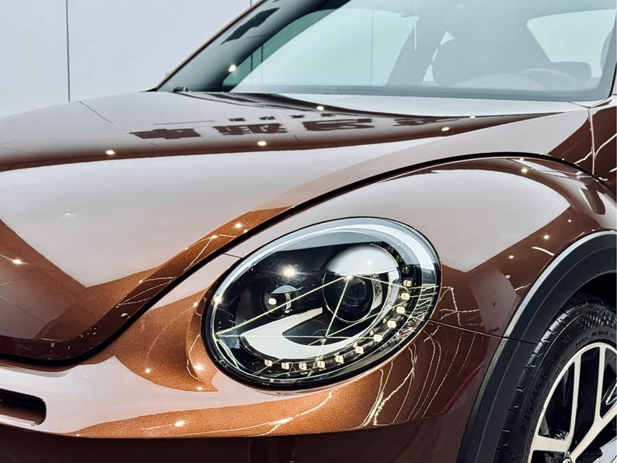 Volkswagen Beetle 2016 car image #22