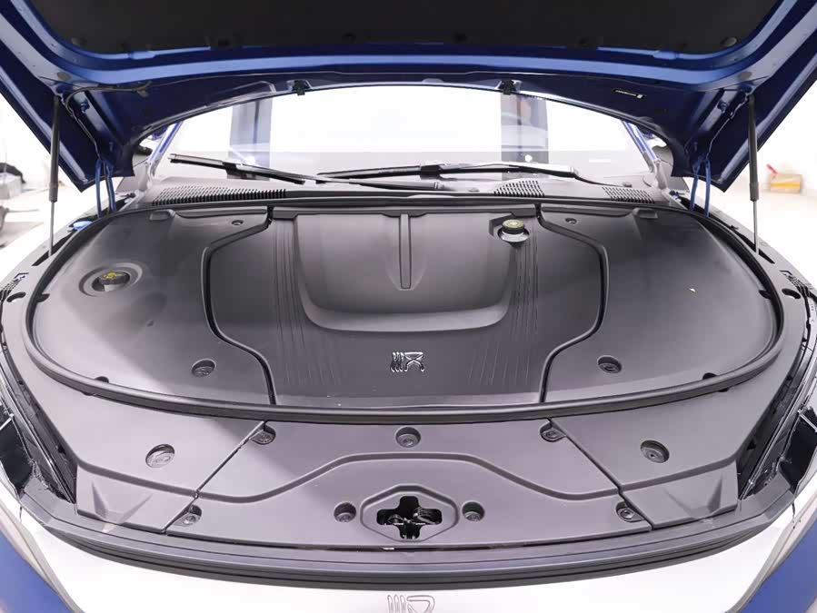 BYD Han 2022 car image #22