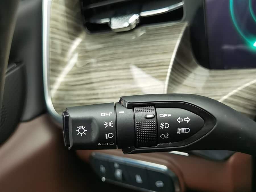 Great Wall Shanhai Pao 2023 car image #22