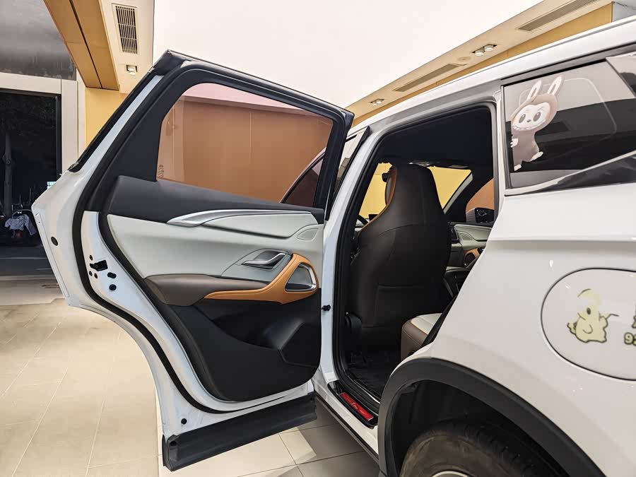 BYD Song Pro New Energy 2022 car image #22