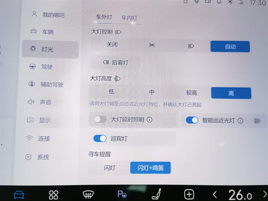 Neta L 2024 imagen de coche #22