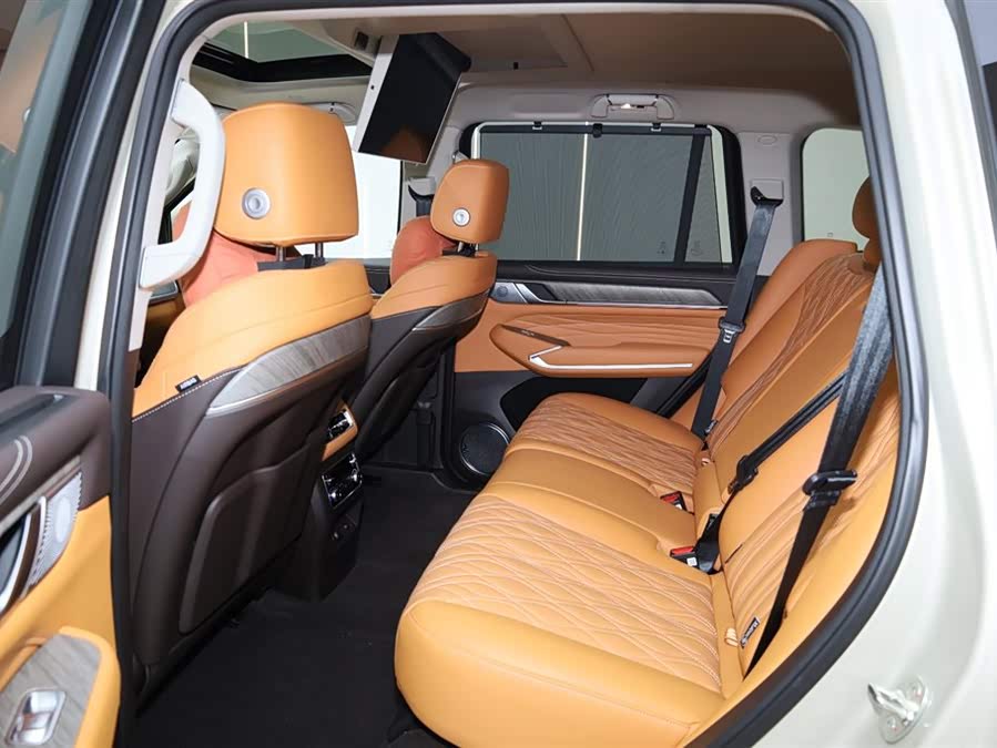 Tank 500 New Energy 2025 immagine di auto #22