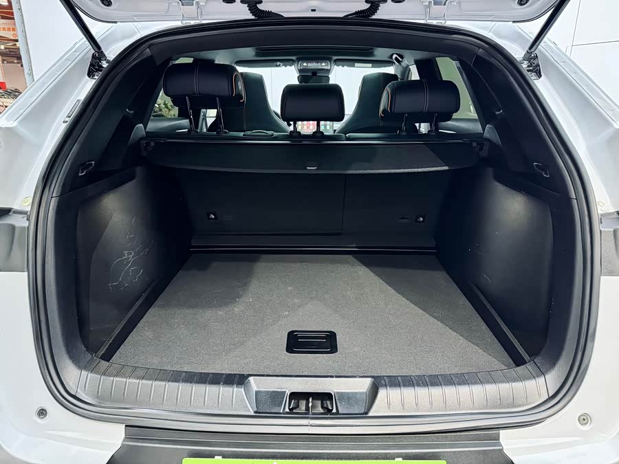 BYD Song Plus New Energy 2022 car image #22