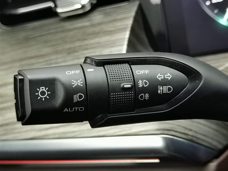 Great Wall Shanhai Pao 2023 car image #22