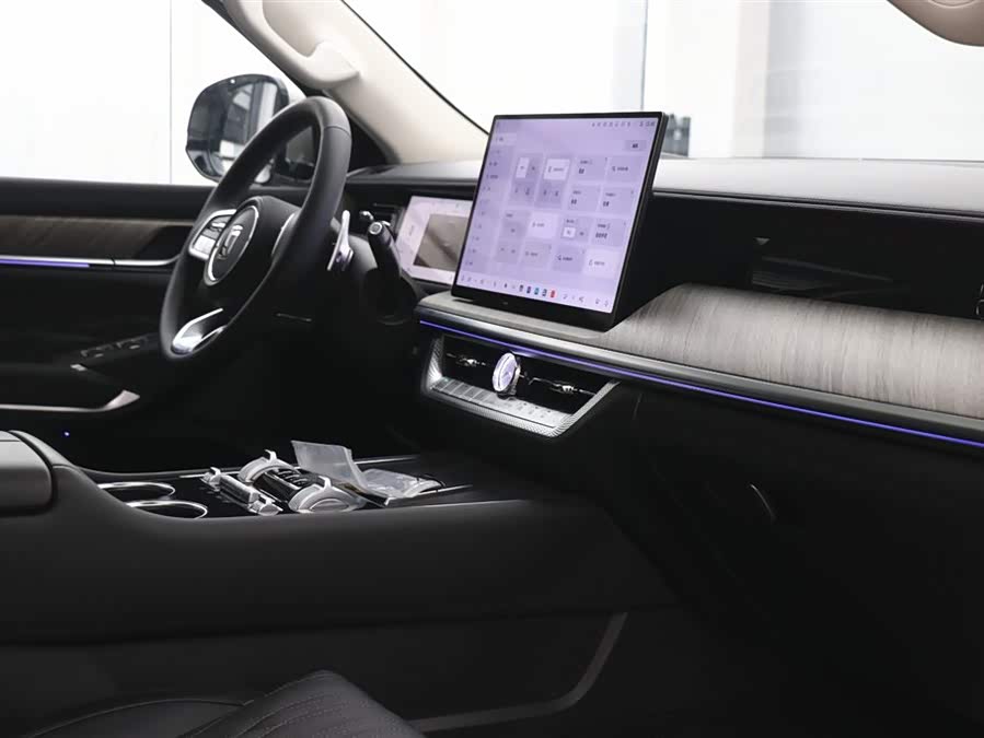 Tank 500 New Energy 2025 car image #22