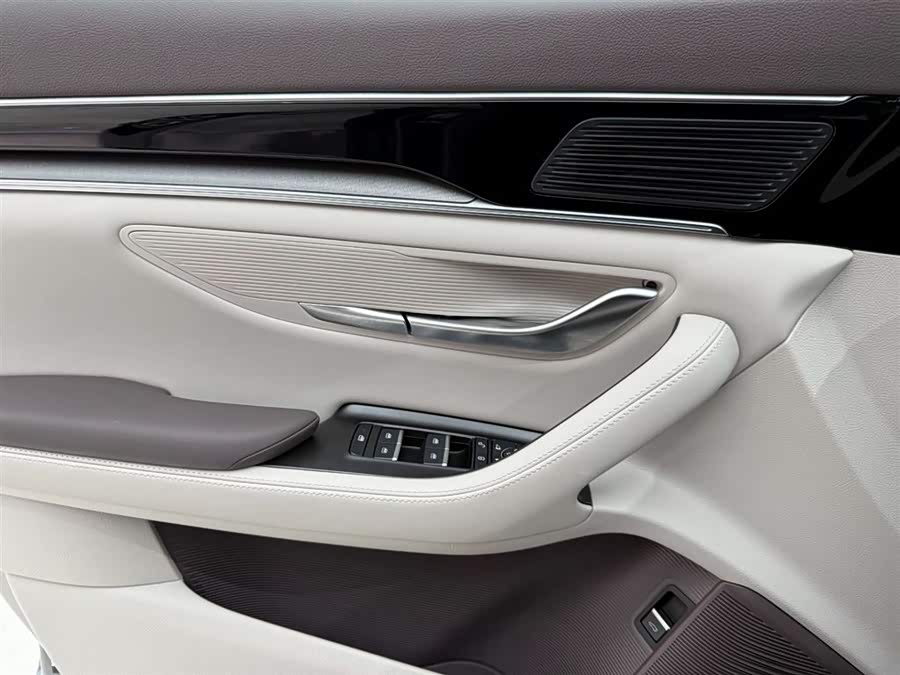 BYD Song Plus New Energy 2025 car image #22