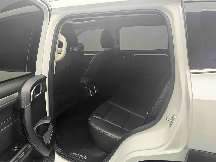 Haval X Dog / Dargo 2021 #22 Haval X Dog / Dargo 2021 car image #22