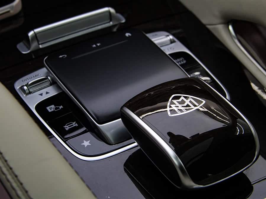 Mercedes-Benz Maybach GLS 2021 car image #22