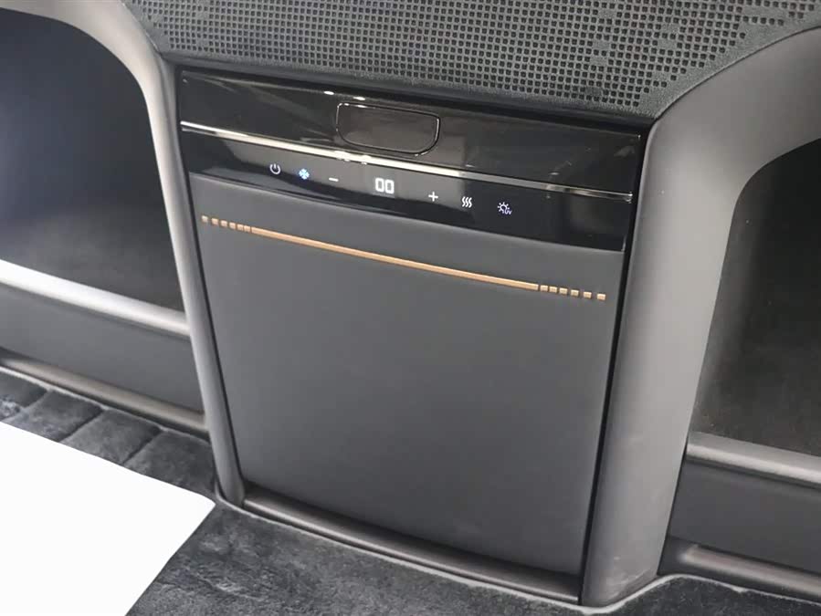 极氪 极氪009 2024 汽车图片 #22