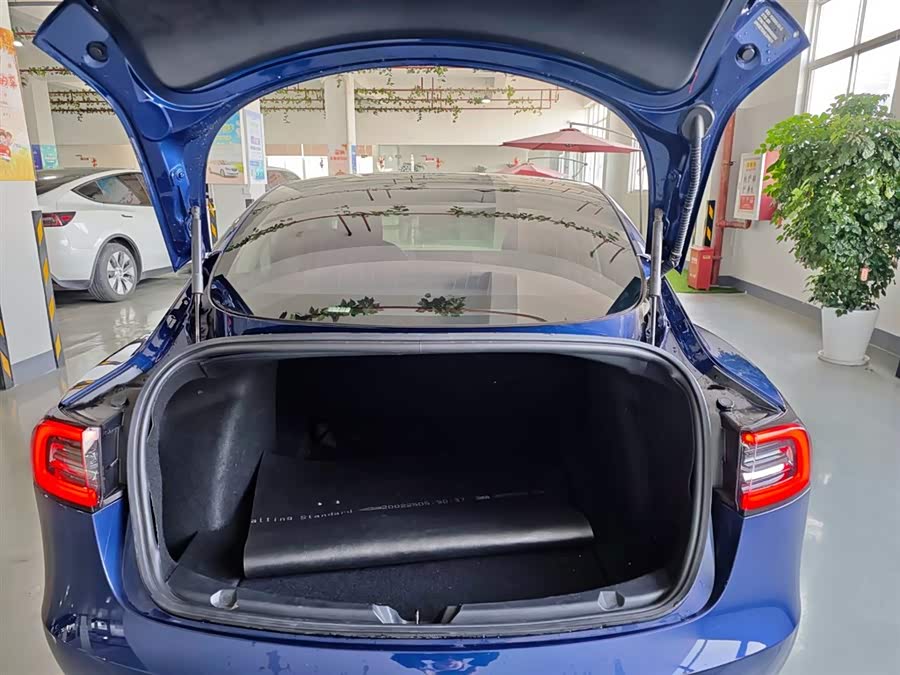 Tesla Model 3 2020 #22 Tesla Model 3 2020 car image #22