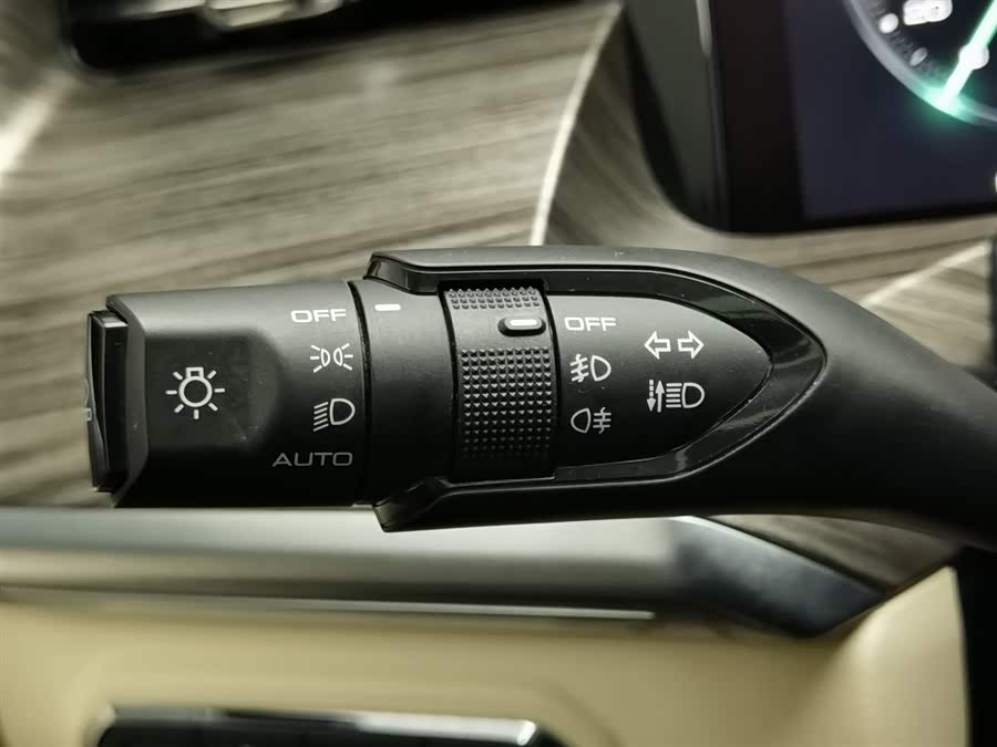 Great Wall Shanhai Pao 2023 car image #22