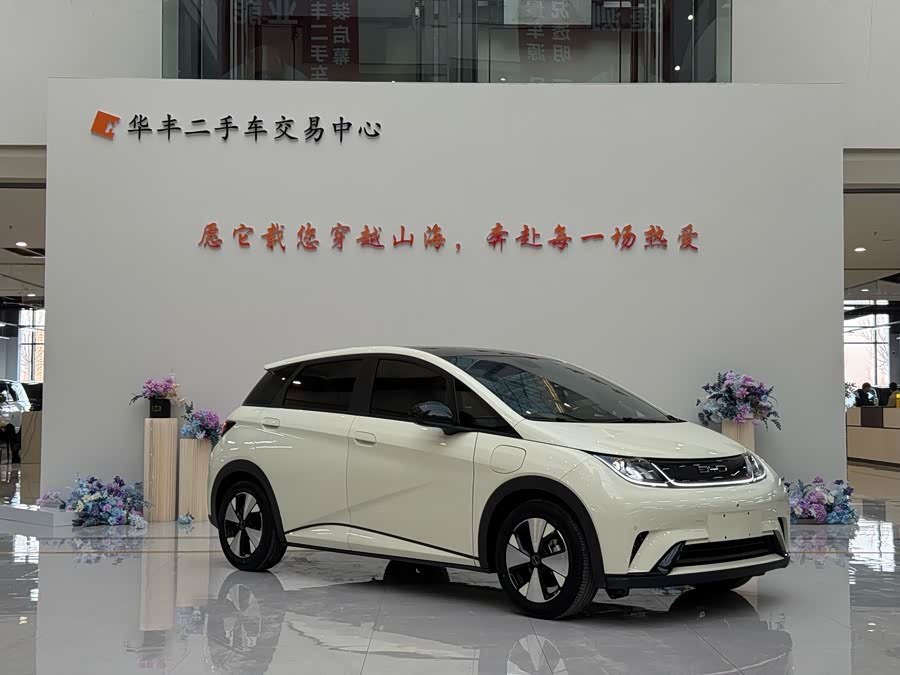 BYD Dolphin 2023 #22 BYD Dolphin 2023 car image #22