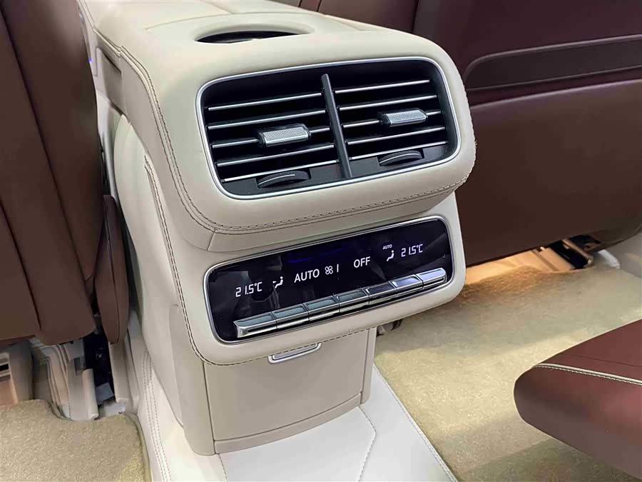 Mercedes-Benz Maybach GLS 2021 car image #22