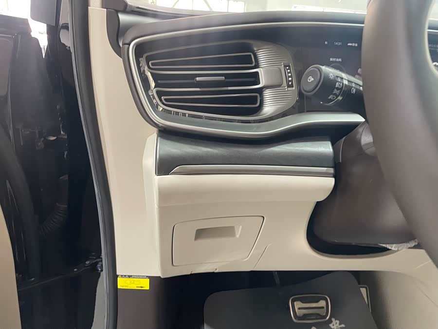 Denza D9 2025 imagen de coche #22