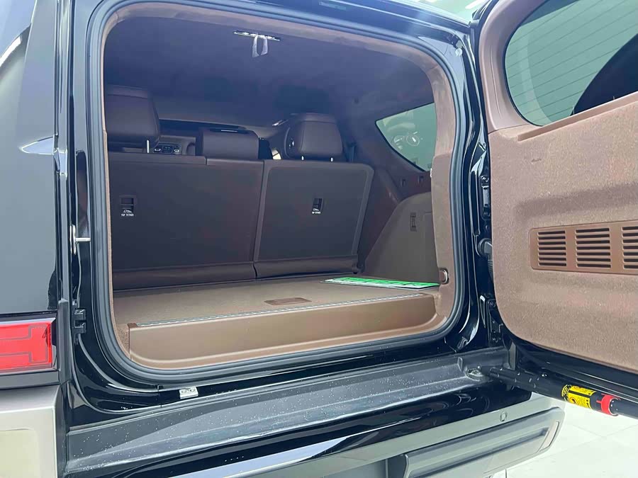 Tank 700 New Energy 2024 car image #22