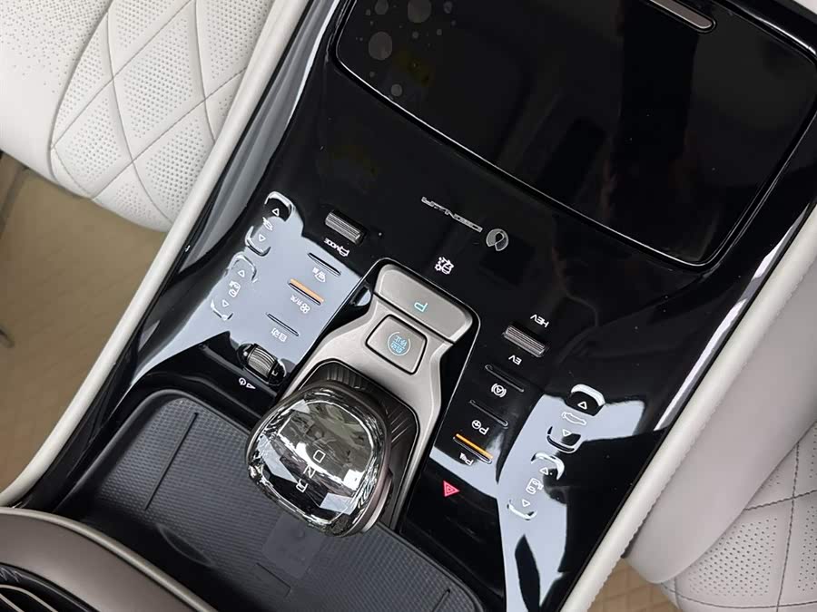 Denza D9 2022 car image #22