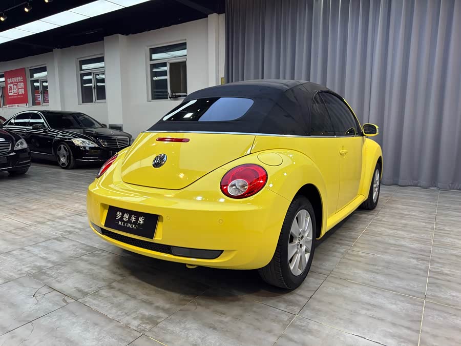Volkswagen Beetle 2010 immagine di auto #22