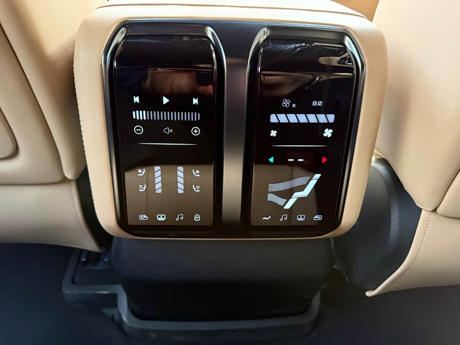 FangChengBao Leopard 8 2024 car image #22