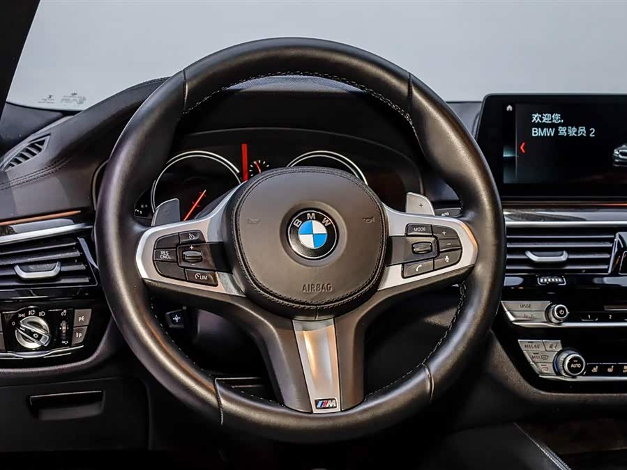BMW 5 Series 2019 car image #22