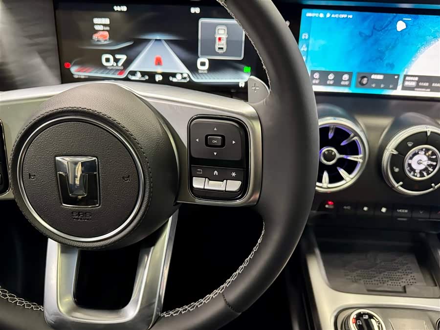 Tank 300 2024 car image #22