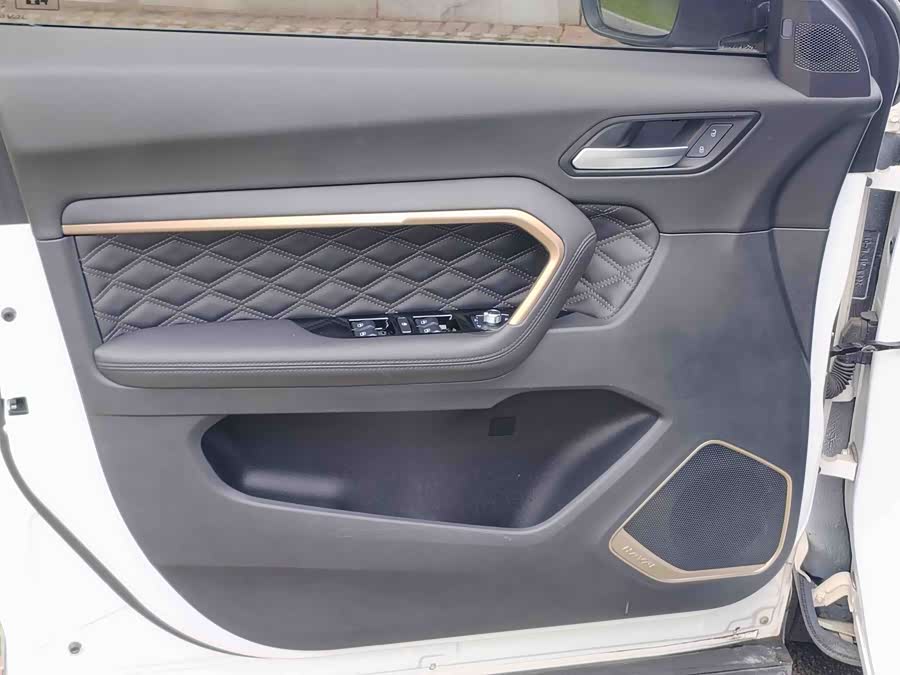 Haval H6 2019 car image #22