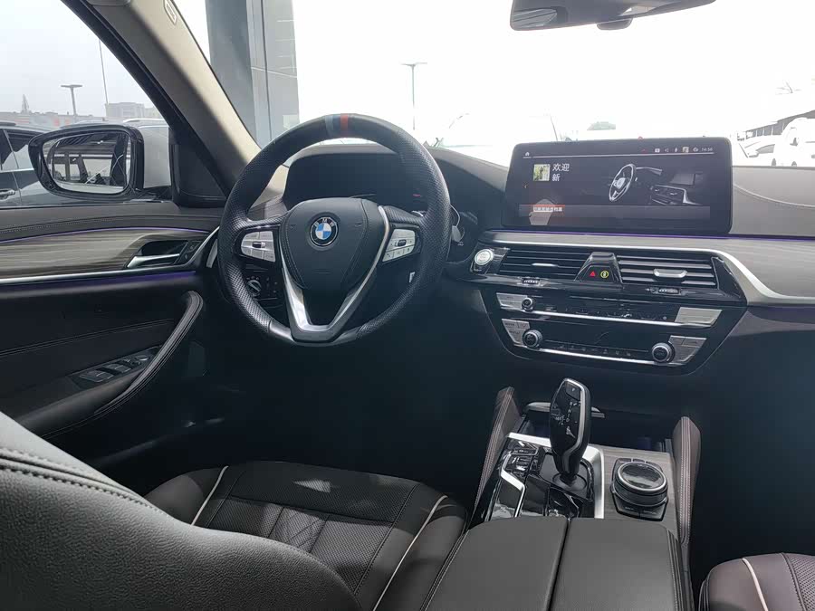 BMW 5 Series 2021 car image #22