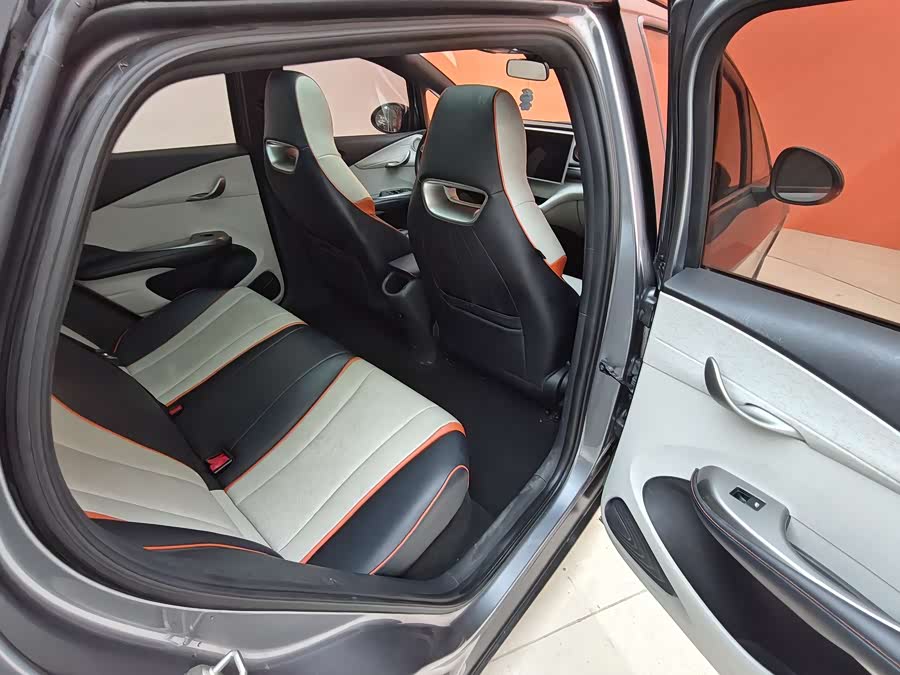 BYD Dolphin 2022 car image #22