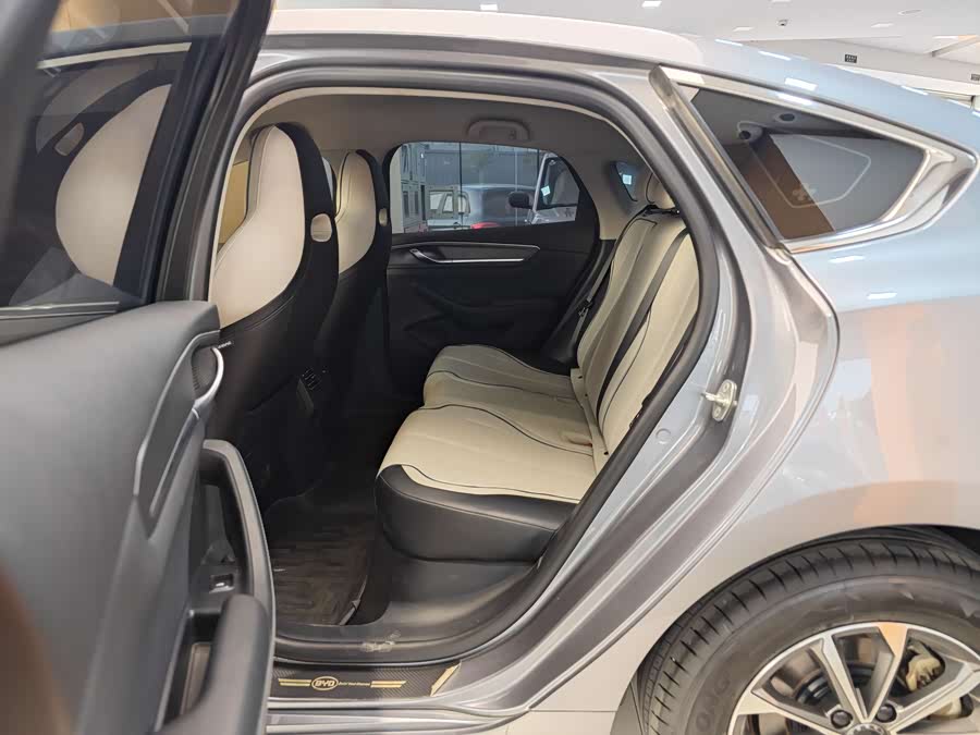 BYD Destroyer 05 2024 car image #22