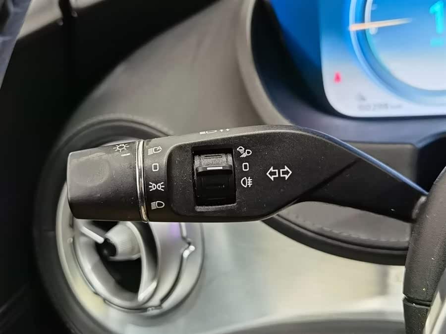 Denza X 2020 car image #22