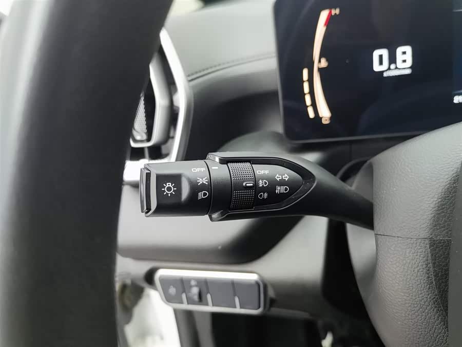 Great Wall Jingang Pao 2022 car image #22