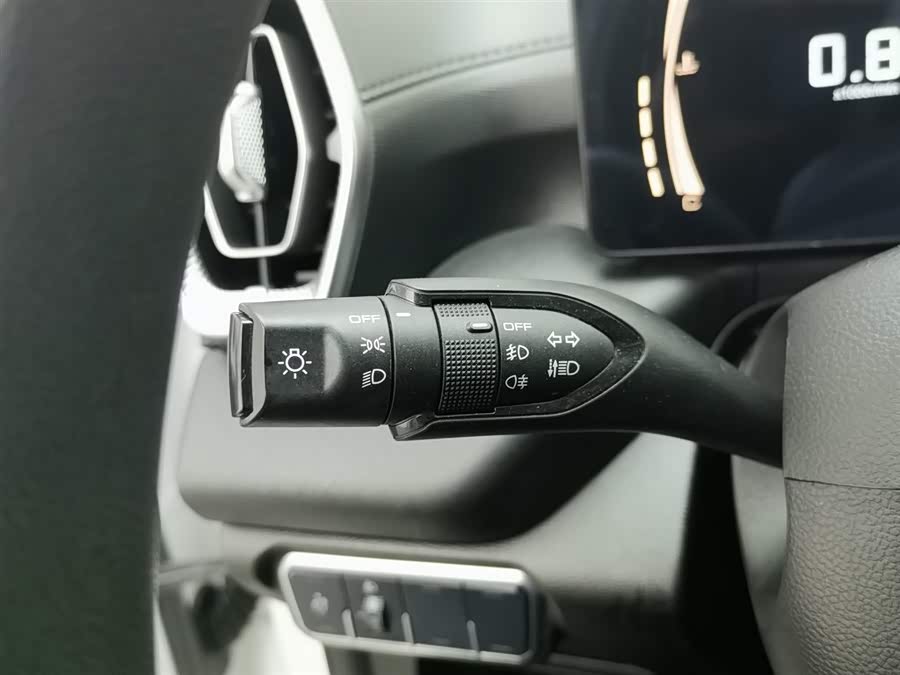 Great Wall Jingang Pao 2022 car image #22