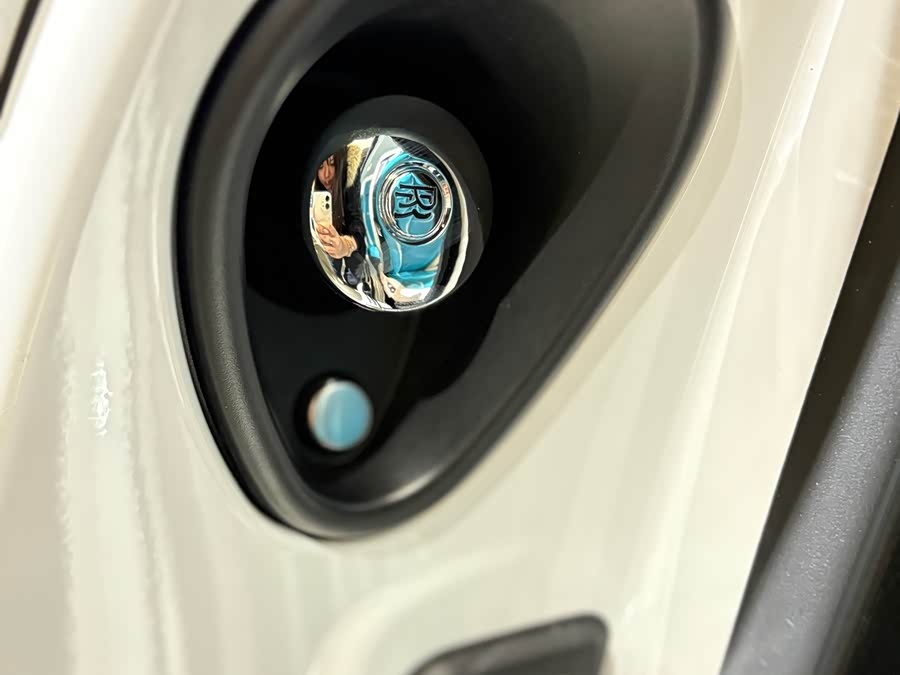 Denza Wraith 2020 car image #22