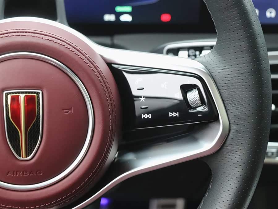 HongQi E-HS9 2023 immagine di auto #22