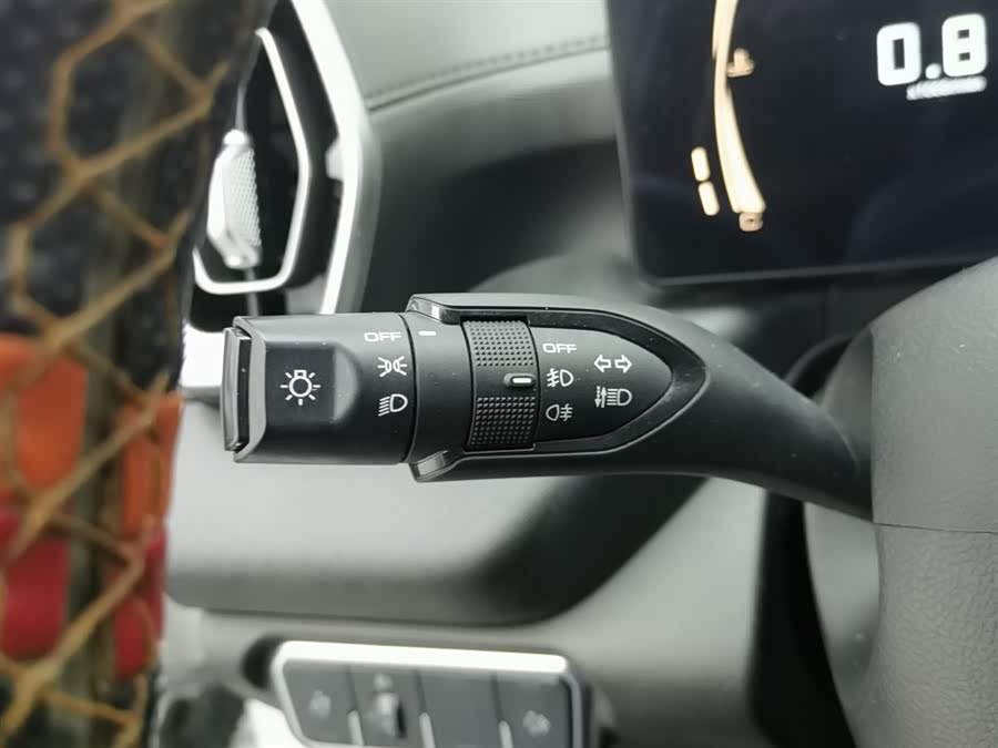 Great Wall Jingang Pao 2022 car image #22