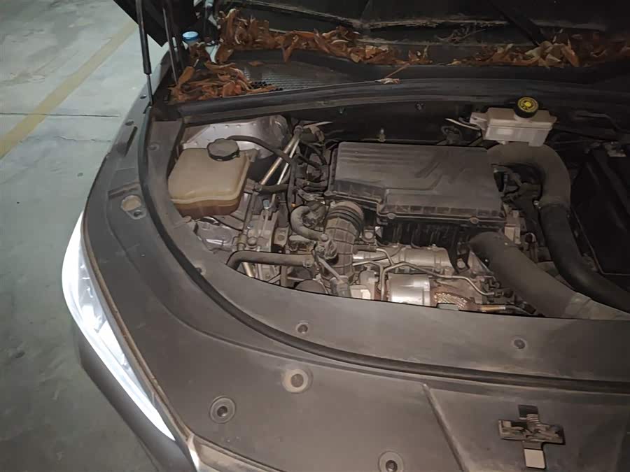 BYD Song Plus 2021 car image #22