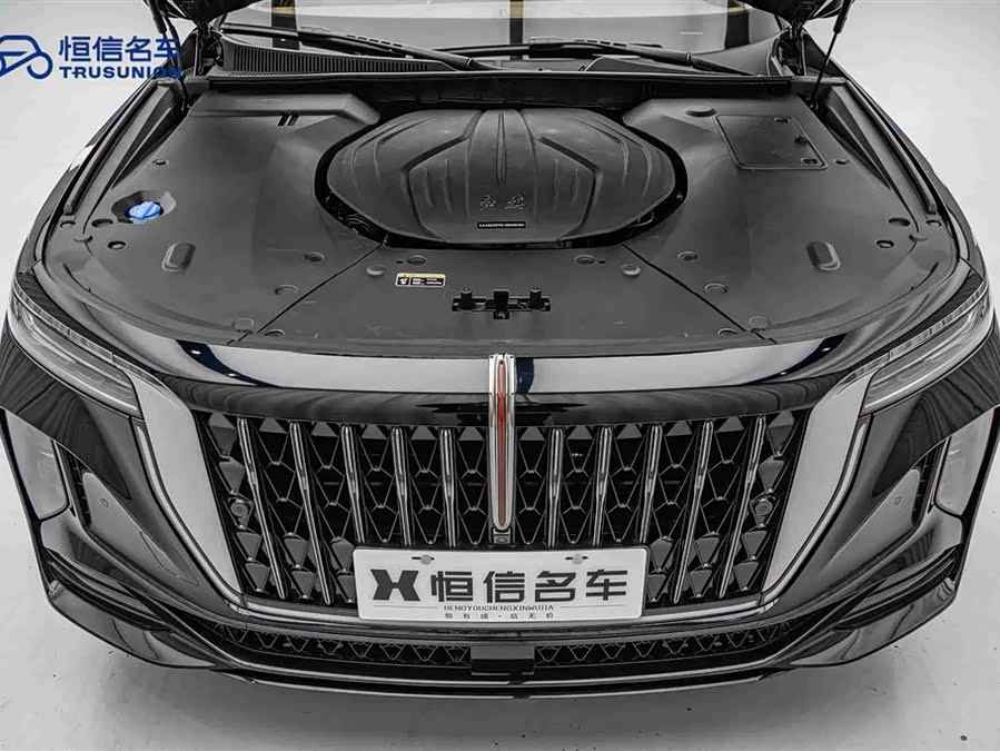 HongQi H9 2025 car image #22