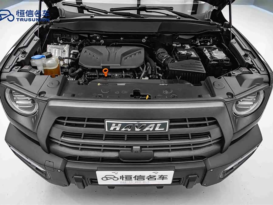 Haval X Dog / Dargo 2023 immagine di auto #22