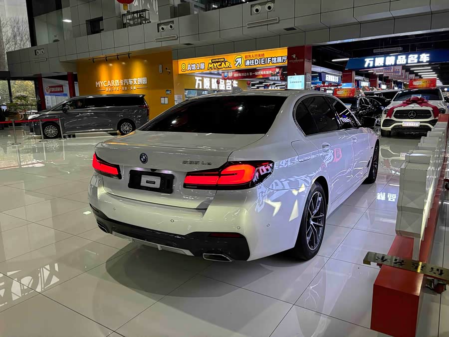 BMW 5 Series New Energy 2022 car image #22