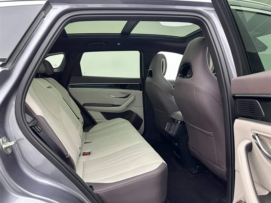 BYD Song Plus New Energy 2025 car image #22