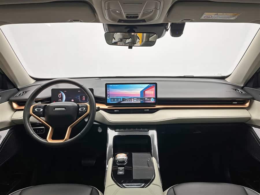 Haval H6 2023 car image #22